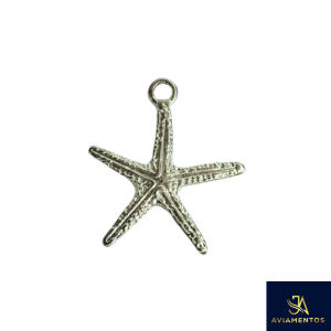 foto com fundo branco com um pingente de estrela do mar
