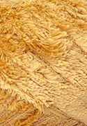 caramelito